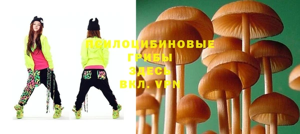 прущие крисы Бугульма