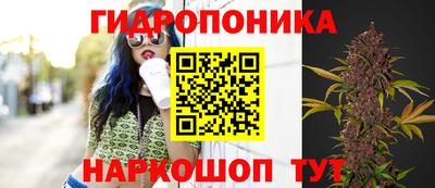 a pvp Апрелевка