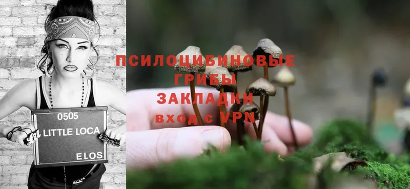 Галлюциногенные грибы Cubensis  blacksprut рабочий сайт  Верхний Уфалей 