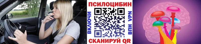 МЕГА ссылка Верхний Уфалей Псилоцибиновые грибы Cubensis цена