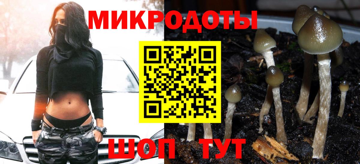 Галлюциногенные грибы Cubensis Верхний Уфалей