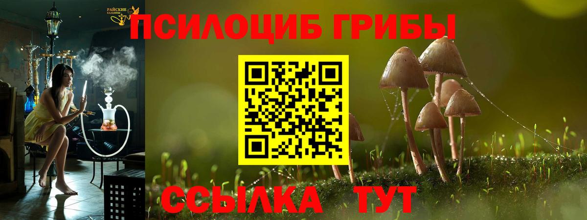 Галлюциногенные грибы GOLDEN TEACHER  Верхний Уфалей  даркнет сайт  Галлюциногенные грибы Psilocybe 